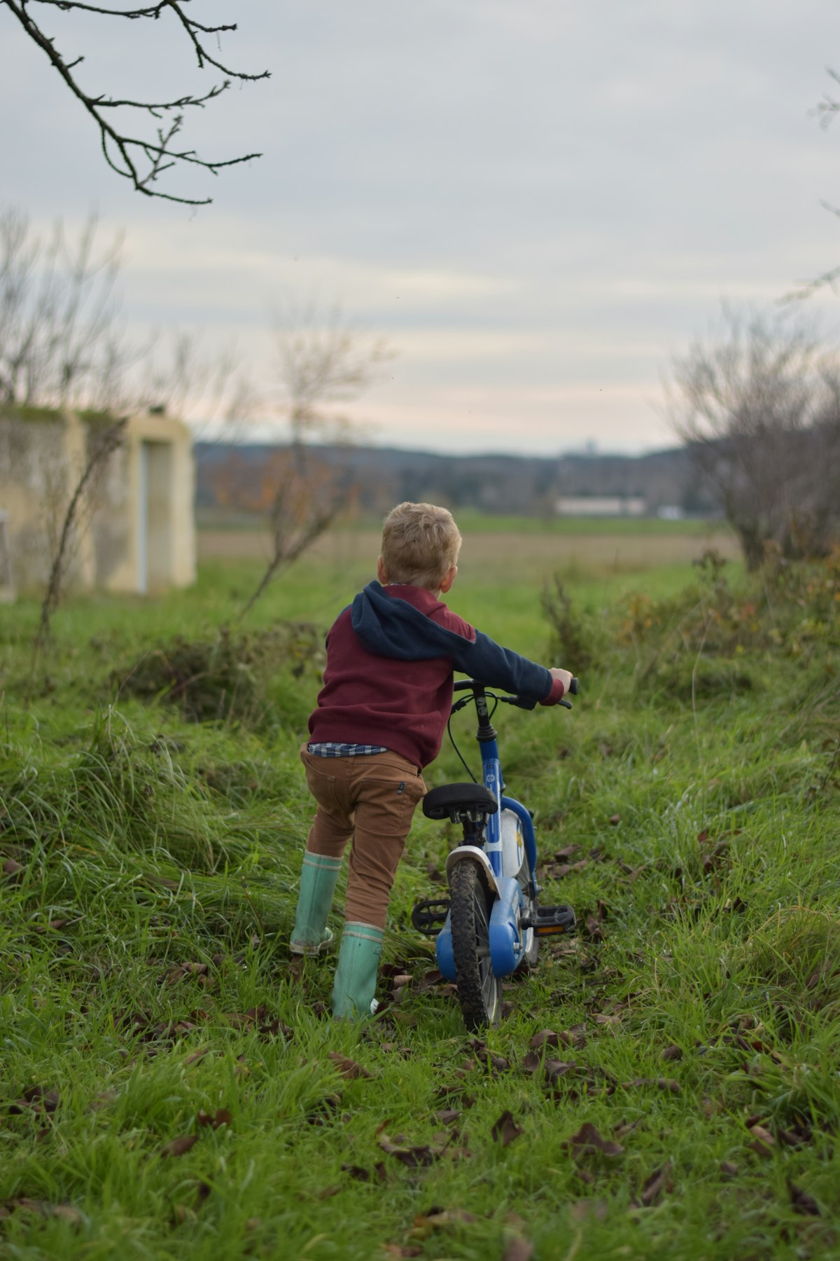 Family bike ride in the countryside