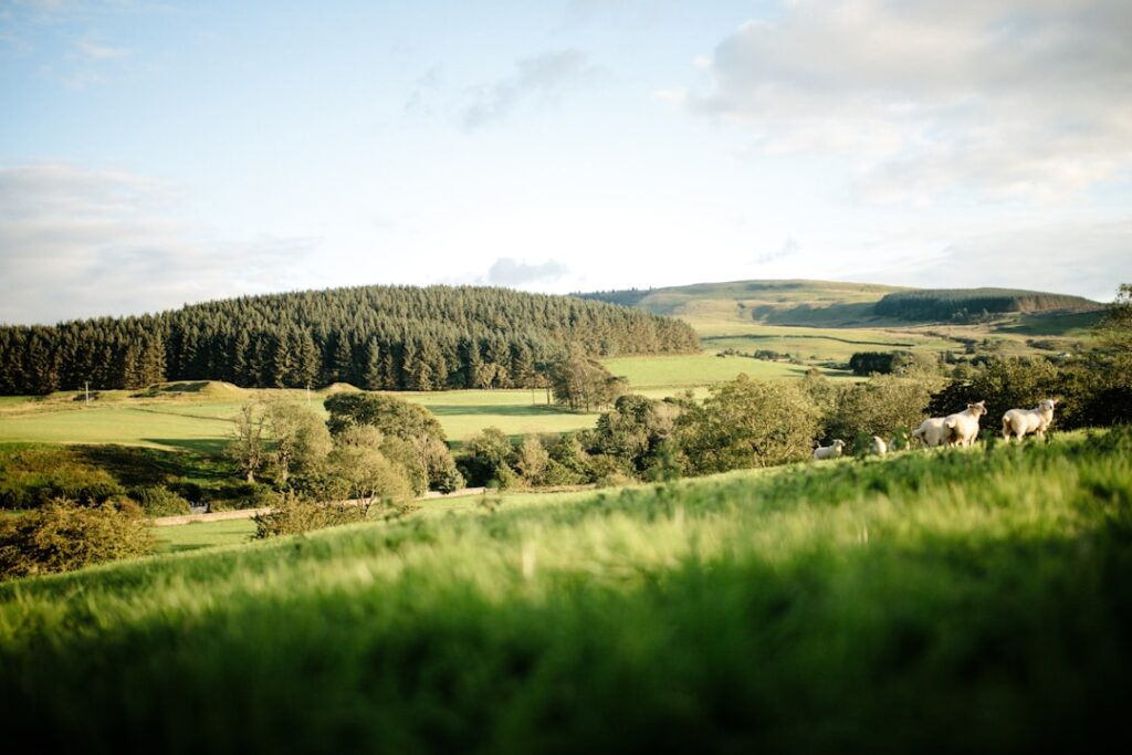 Rolling countryside around Pendle Hill in Lancashire