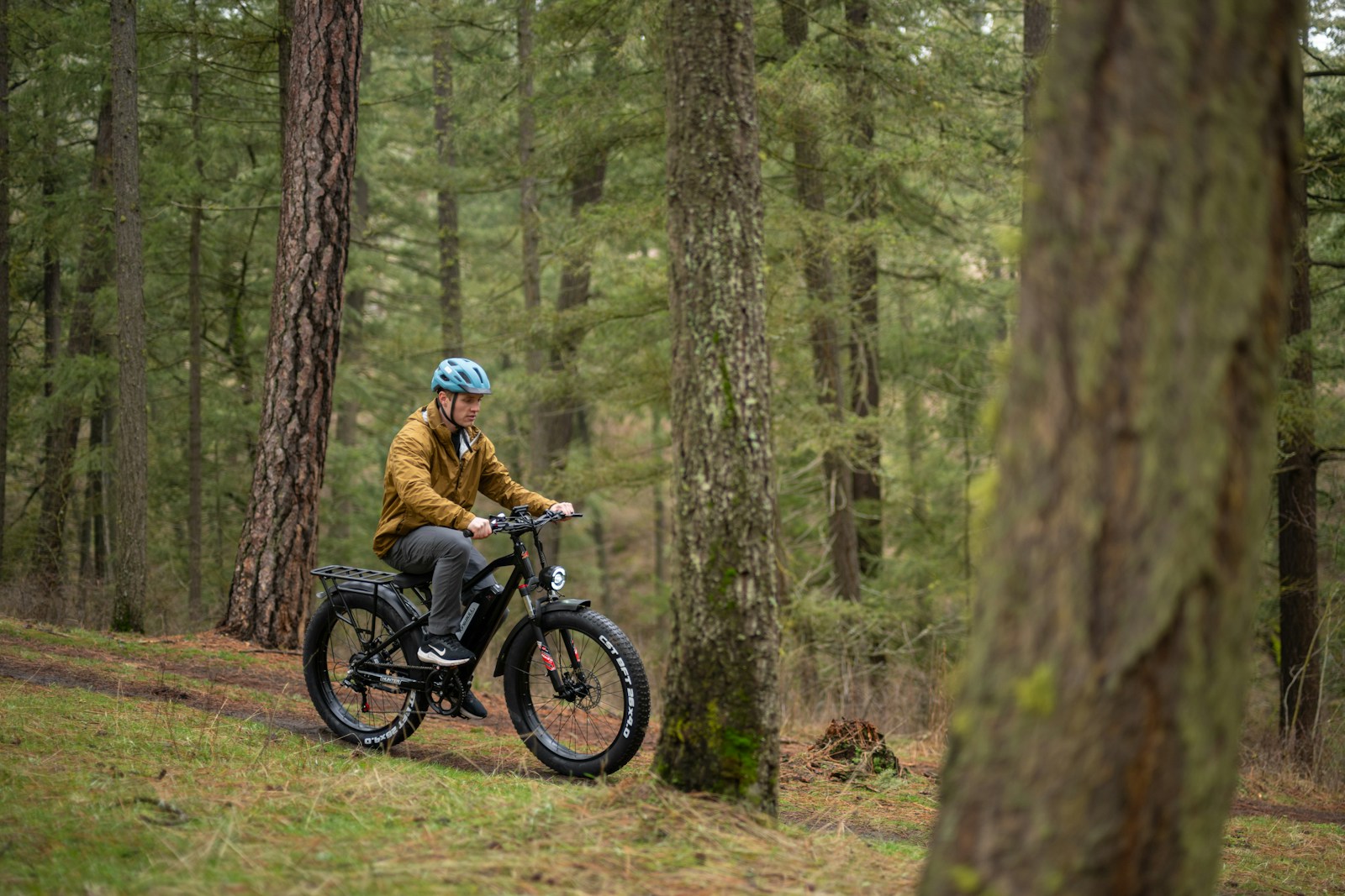 Rider on an e-bike along a forest trail