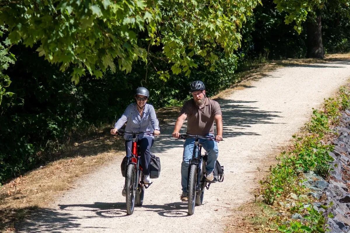 Bike hire fleet